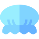 icon01